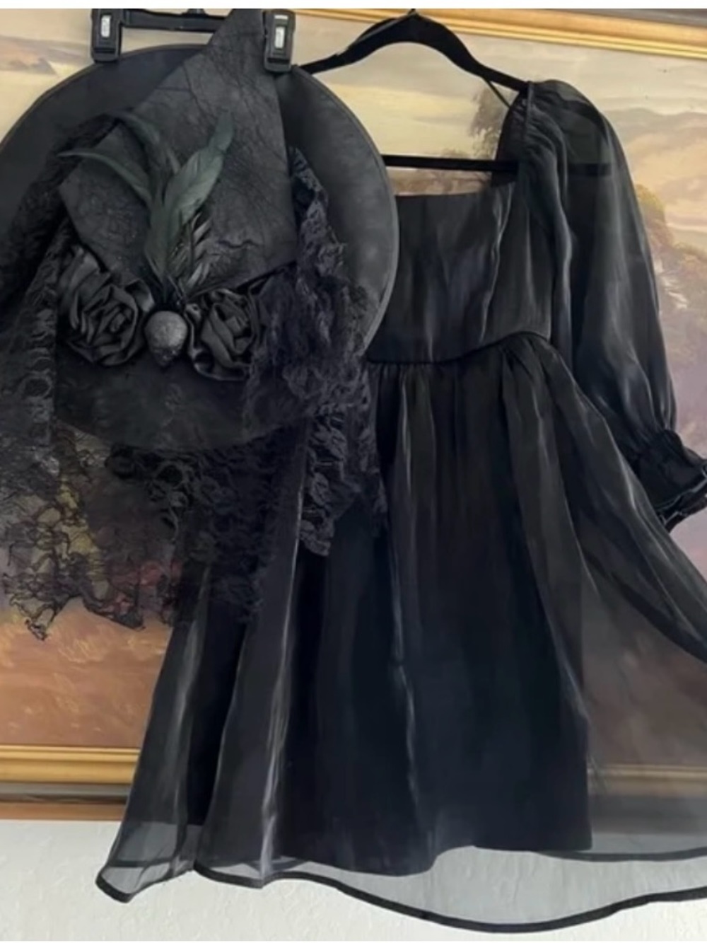 Thirty-Thirty Elegant Black Sheer Mini Dress with Puff Sleeves